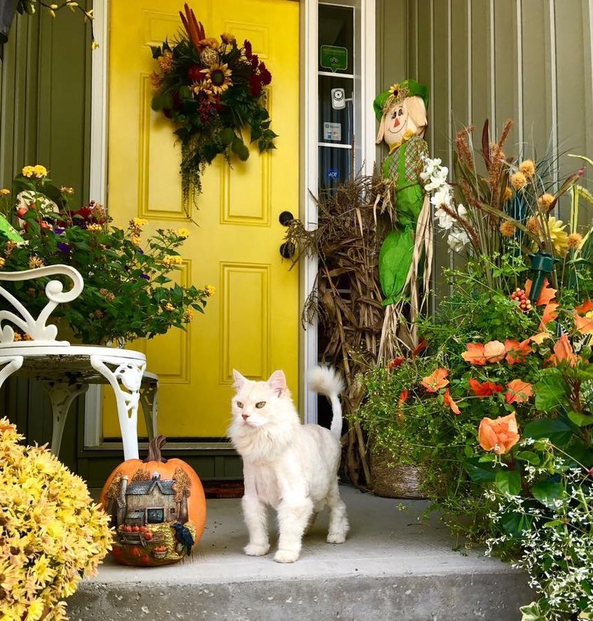 Yellow Door Bed And Breakfast Fort Erie Luaran gambar
