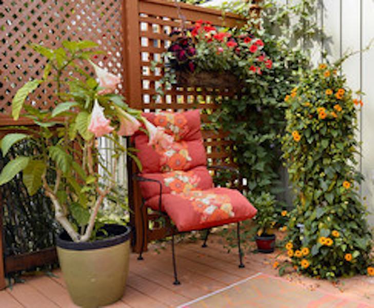 Yellow Door Bed And Breakfast Fort Erie Luaran gambar